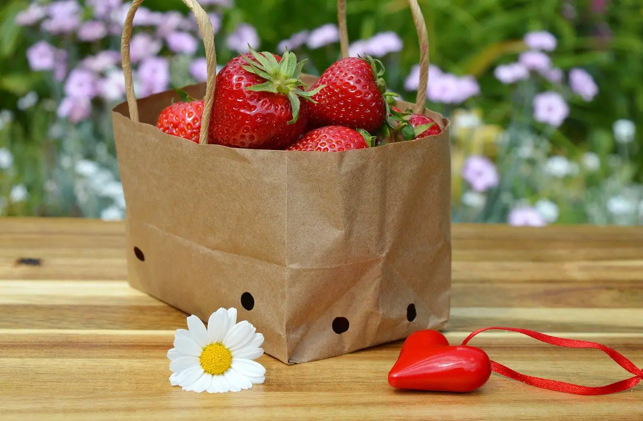 achat emballage alimentaire